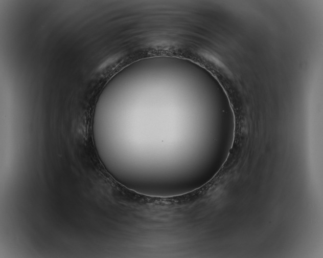 X0000086930869200704161422