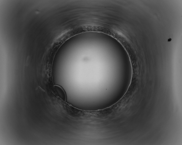 X0000086930870200704161422