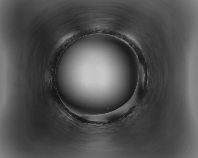 X0000086930872200704161422
