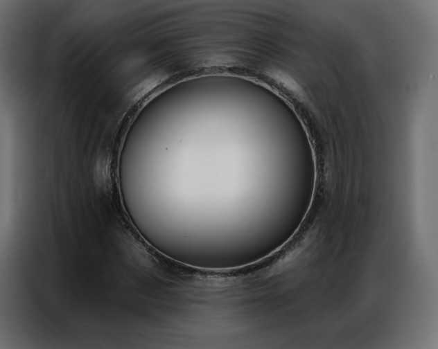 X0000086930873200704161422