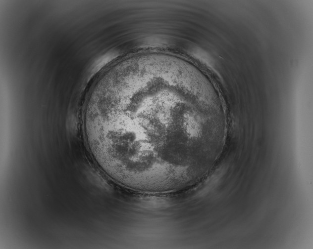 X0000086930874200704161422