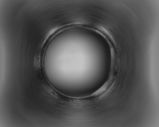 X0000086930875200704161422