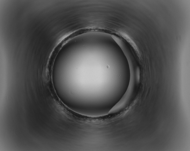 X0000086930876200704161422