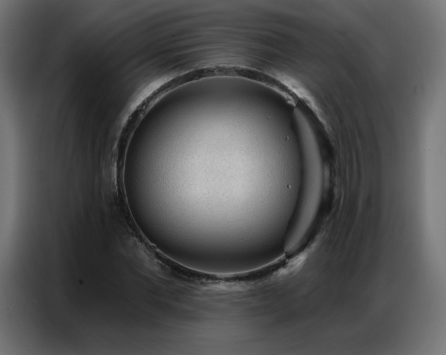 X0000086930877200704161422