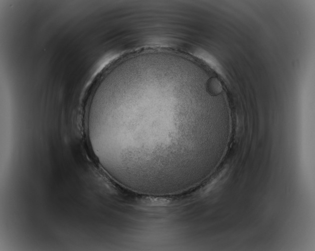 X0000086930878200704161422