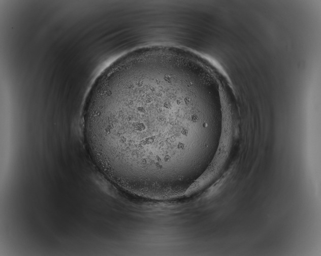 X0000086930879200704161422