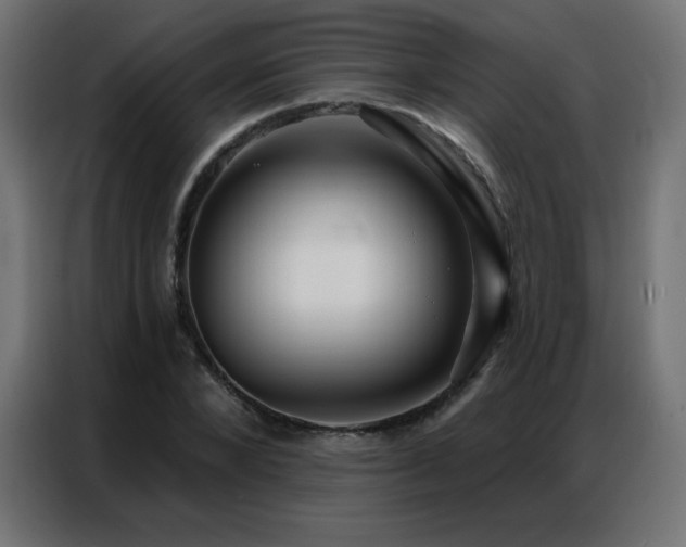X0000086930880200704161422