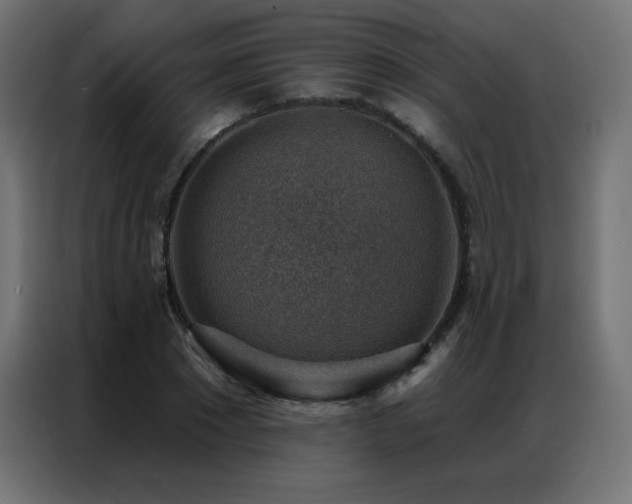 X0000086930881200704161422