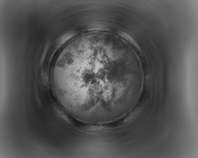 X0000086930882200704161422