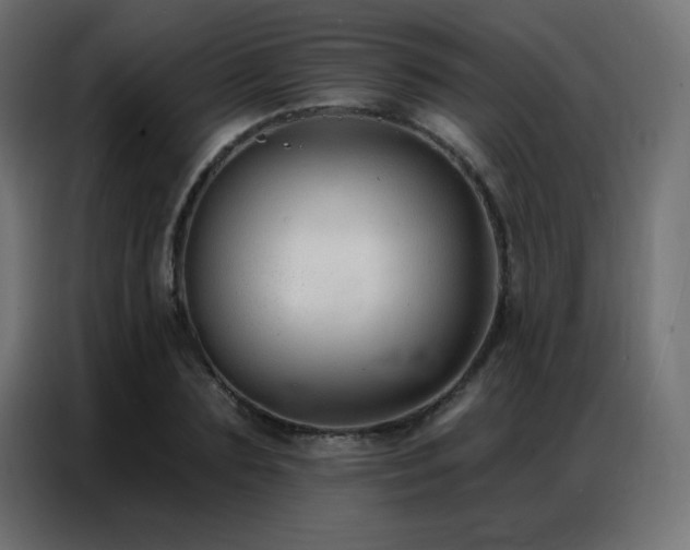 X0000086930883200704161422