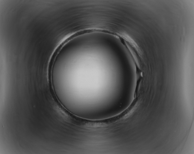 X0000086930884200704161422