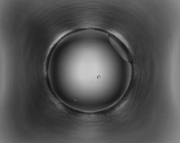 X0000086930885200704161422