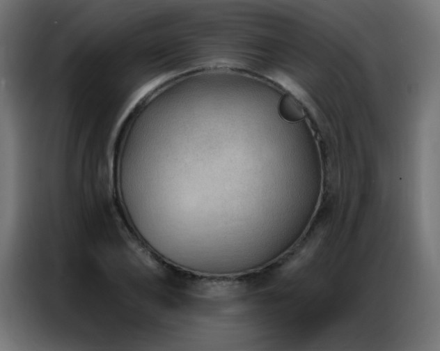 X0000086930886200704161422