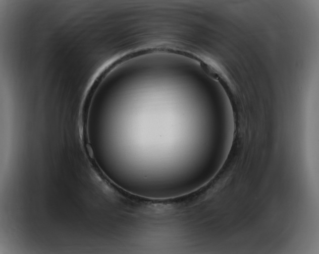 X0000086930888200704161422