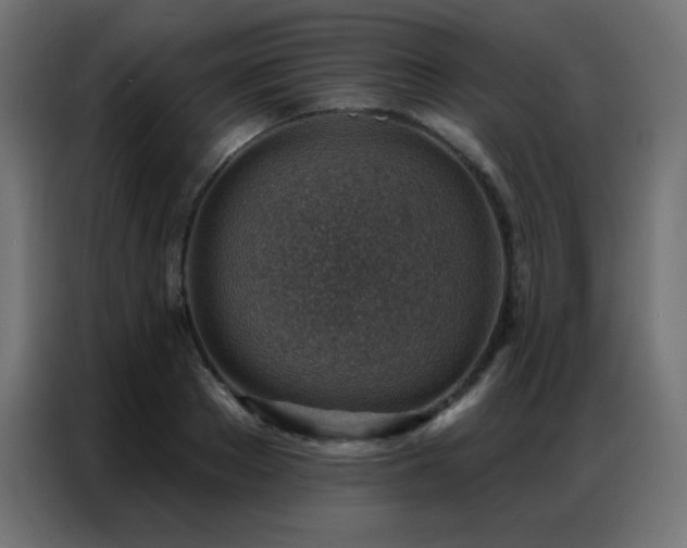 X0000086930889200704161422