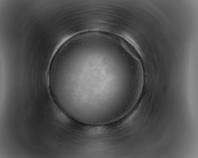 X0000086930891200704161422