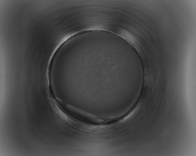 X0000086930892200704161422