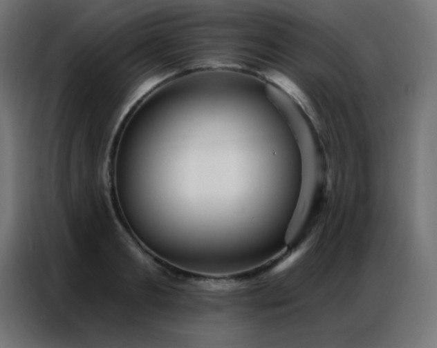 X0000086930893200704161422
