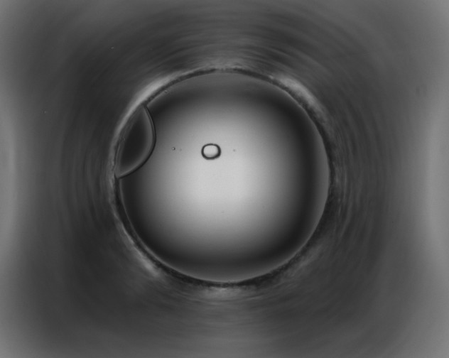 X0000086930894200704161422