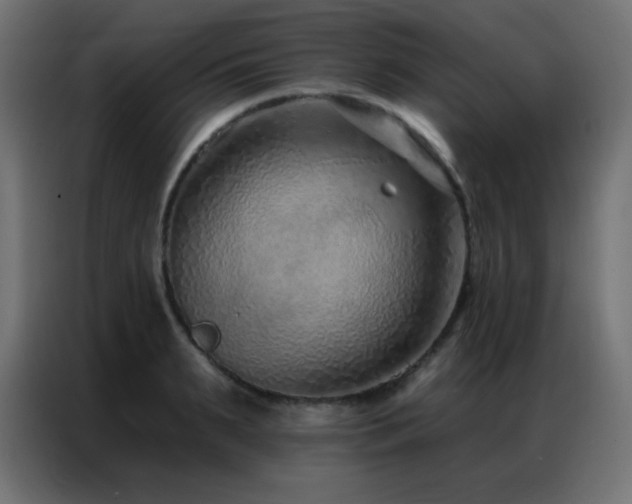X0000086930895200704161422