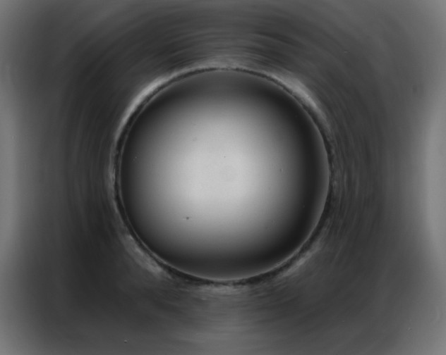 X0000086930896200704161422