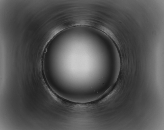 X0000086930898200704161422