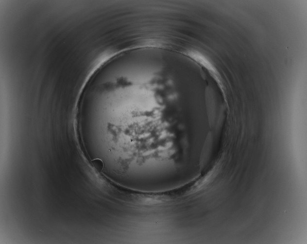 X0000086930899200704161422