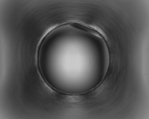 X0000086930902200704161422