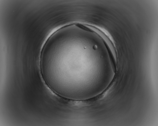 X0000086930903200704161421