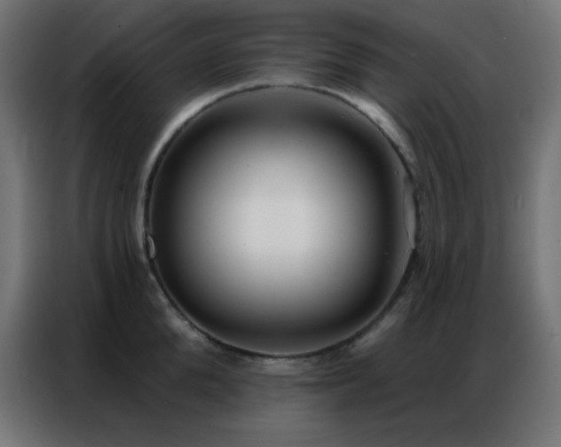 X0000086930904200704161421