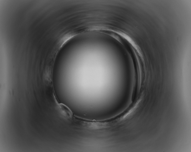 X0000086930905200704161421