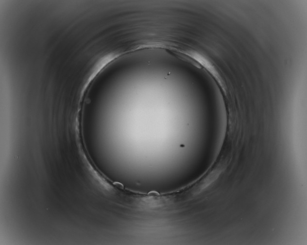 X0000086930906200704161421