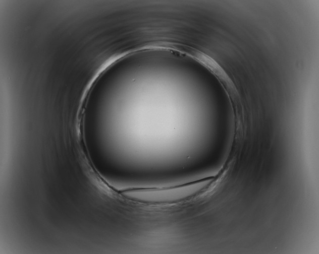 X0000086930908200704161421