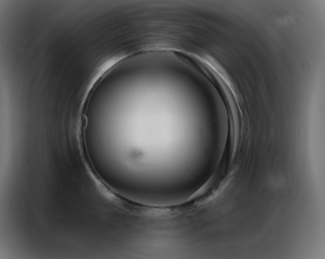 X0000086930909200704161421