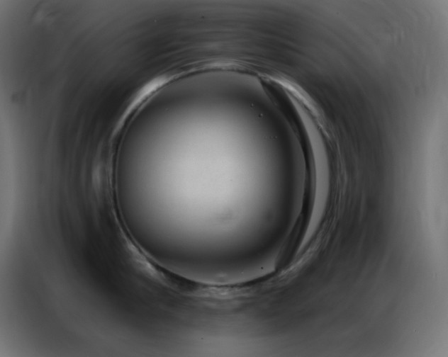 X0000086930910200704161421
