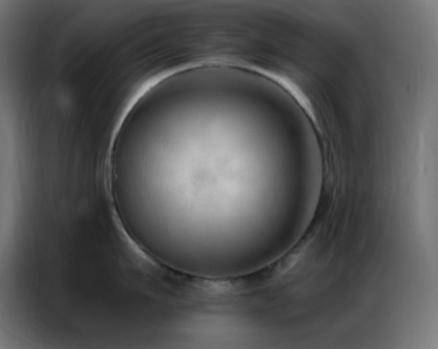 X0000086930911200704161421