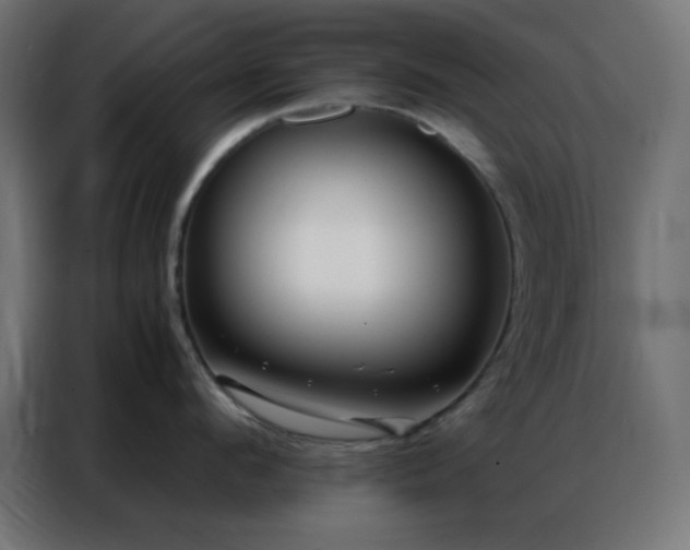 X0000086930912200704161421