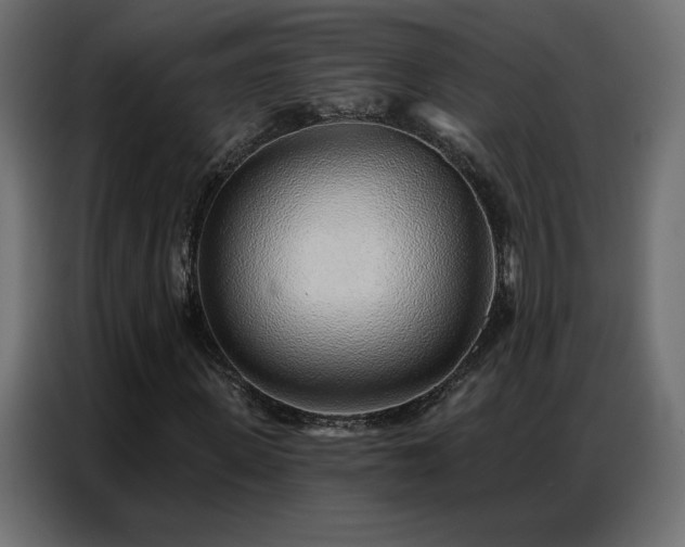 X0000086930915200704161421