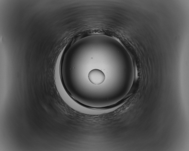 X0000086930916200704161421