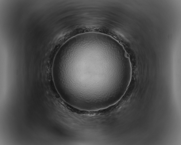 X0000086930917200704161421