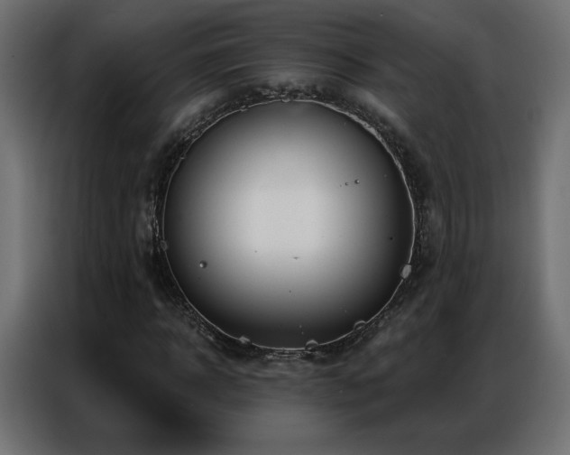 X0000086930918200704161421