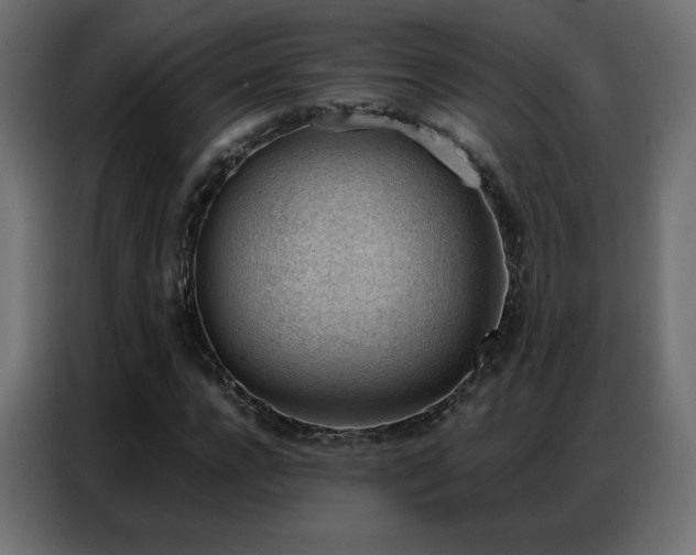 X0000086930920200704161421