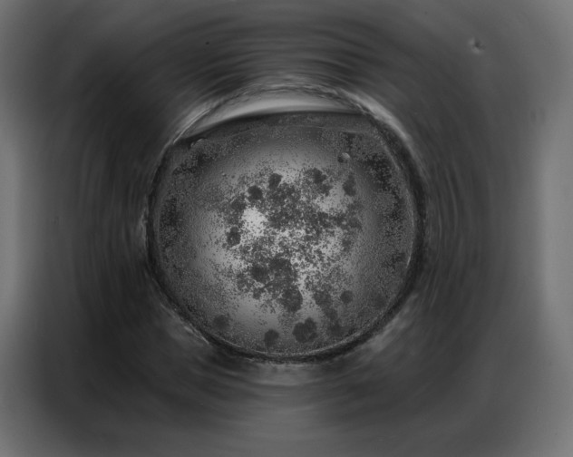 X0000086930921200704161421