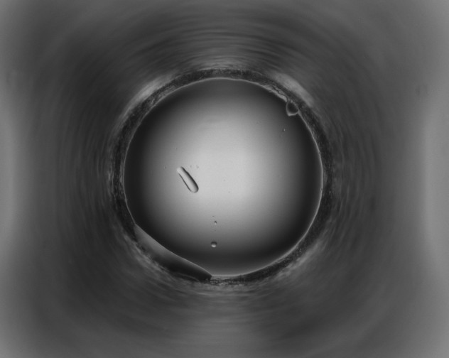 X0000086930922200704161421