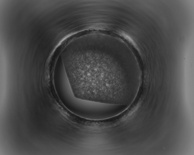 X0000086930923200704161421