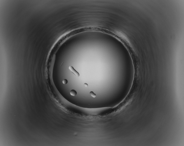 X0000086930924200704161421