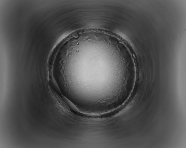 X0000086930925200704161421
