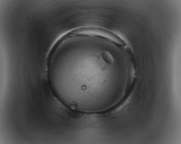 X0000086930926200704161421