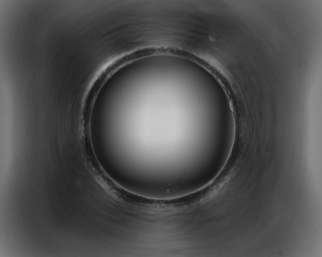 X0000086930927200704161421
