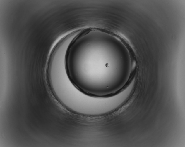 X0000086930928200704161421